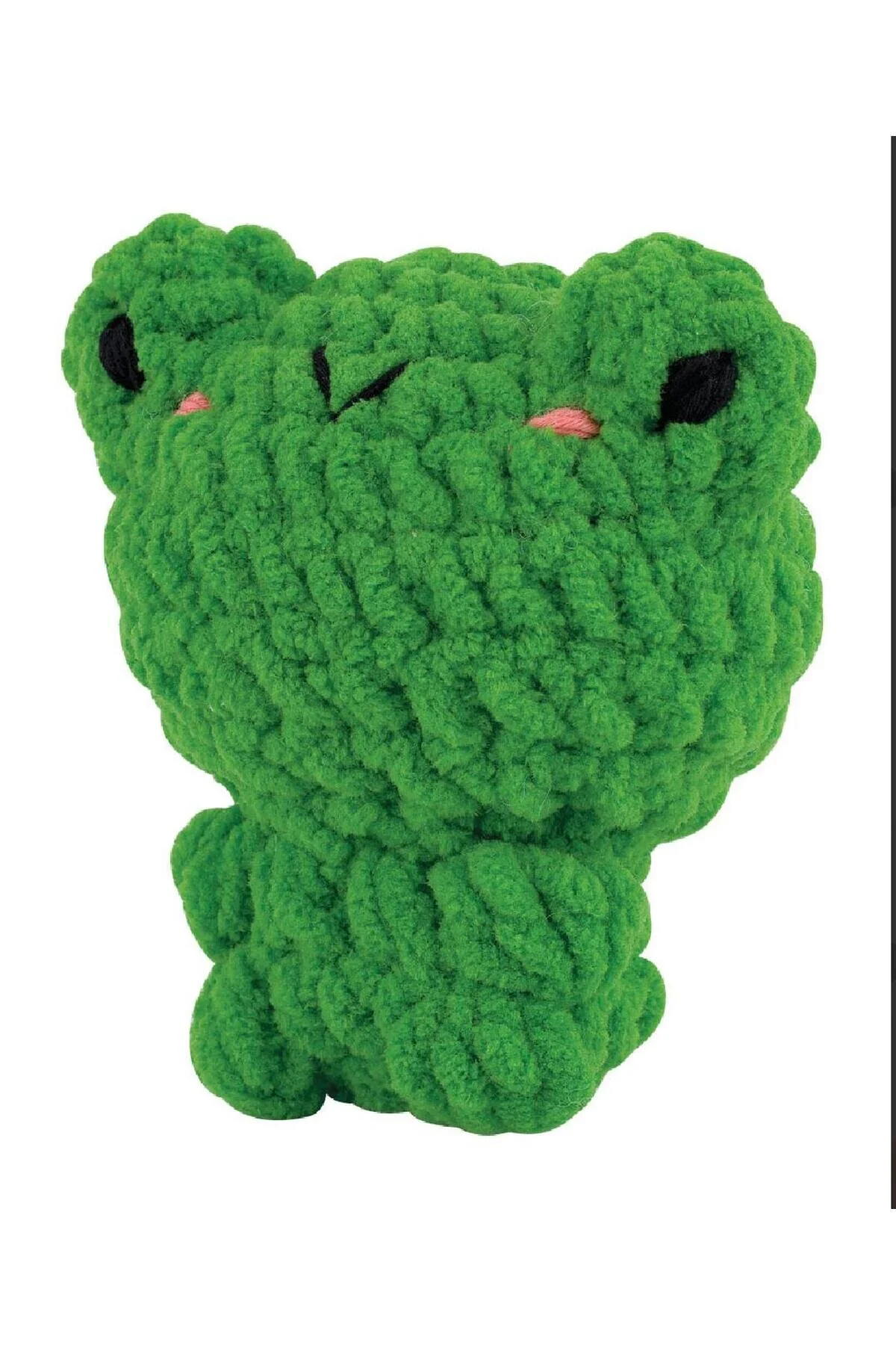 KOLAY ÖRGÜ KADİFE MİNİ AMİGURUMİ KİTİ FLOYD THE FROG